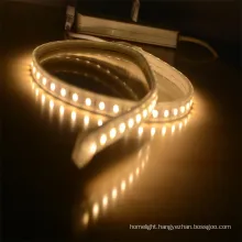 Shenzhen Top Quality Warm White LED Decoration Light
